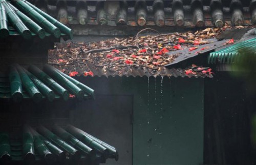 Será inaugurada em breve a Exposição  “Sentimentos com a Chuva – Obras Fotográficas de  Wong Lai Chu”  integrada no Projecto de Promoção de Artistas de Macau