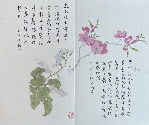 《唐詩風采小冊頁》